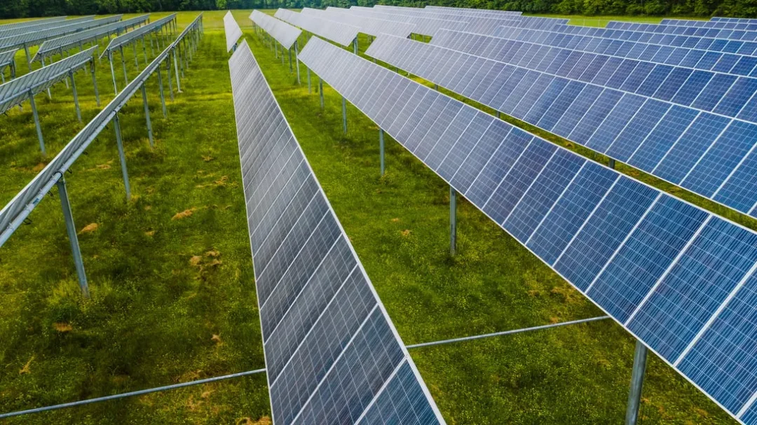 Aerial view of rows of solar panels aligned on grassy land, surrounded by trees, reflecting a sustainable energy landscape.